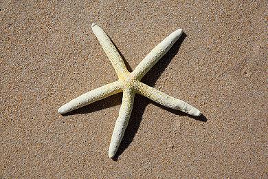 虚拟空间侦探RPG《DecaPolice》发布新预告